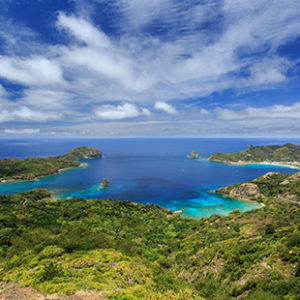 森・山フィールドツアー