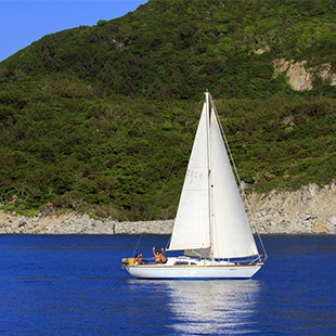 体験セーリングのイメージ