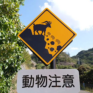 島内観光のイメージ